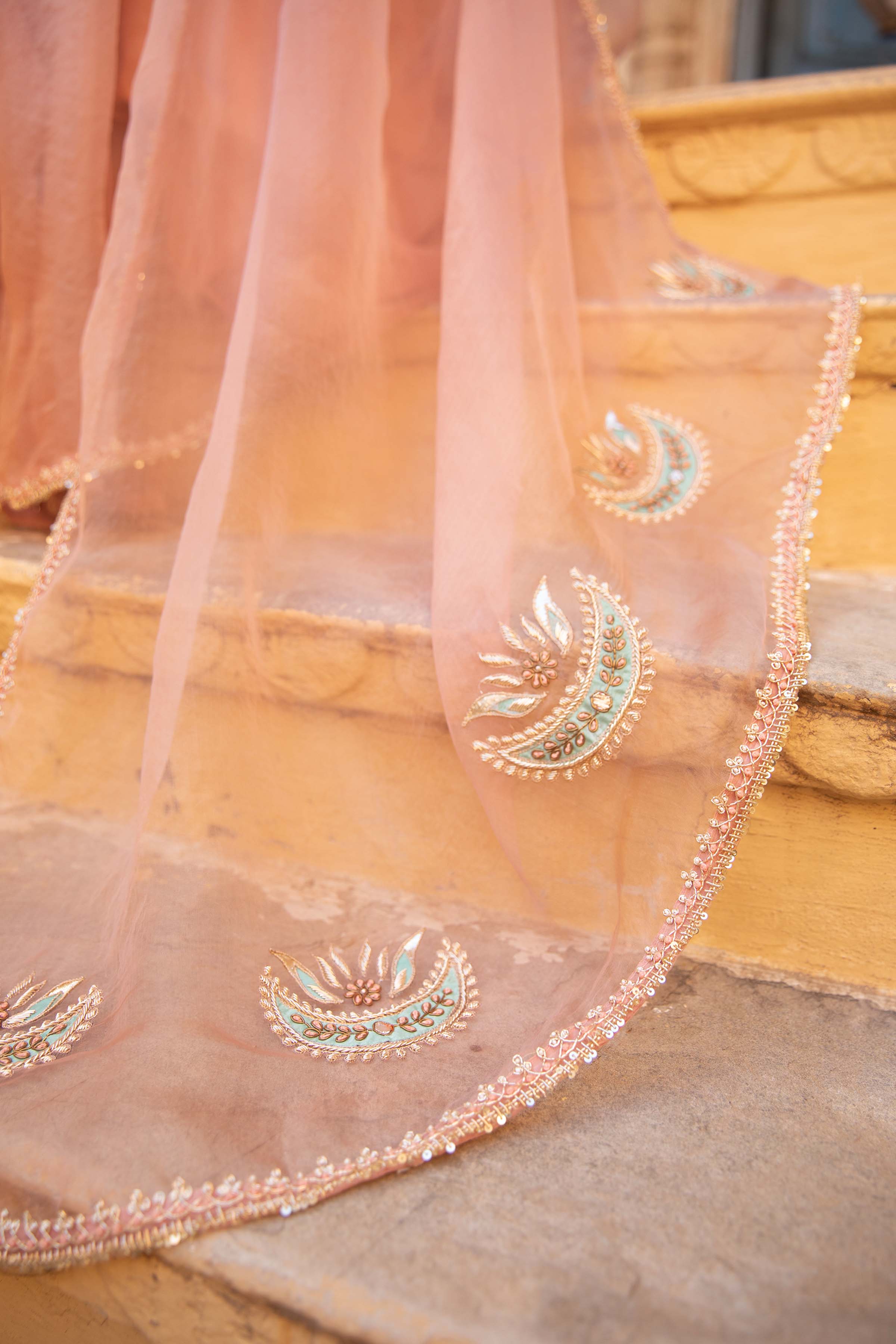 PEACH ORGANZA SAREE
